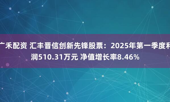 广禾配资 汇丰晋信创新先锋股票：2025年第一季度利润510.31万元 净值增长率8.46%